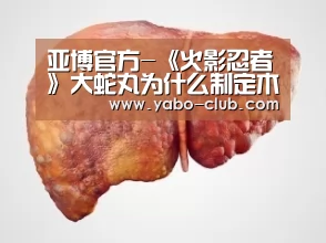 亚博赛事