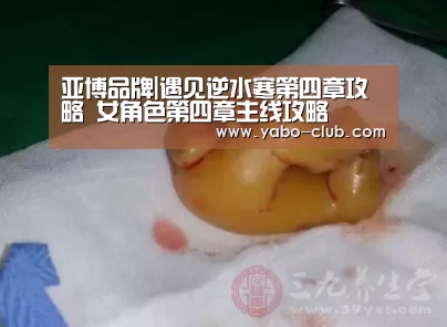亚博品牌
