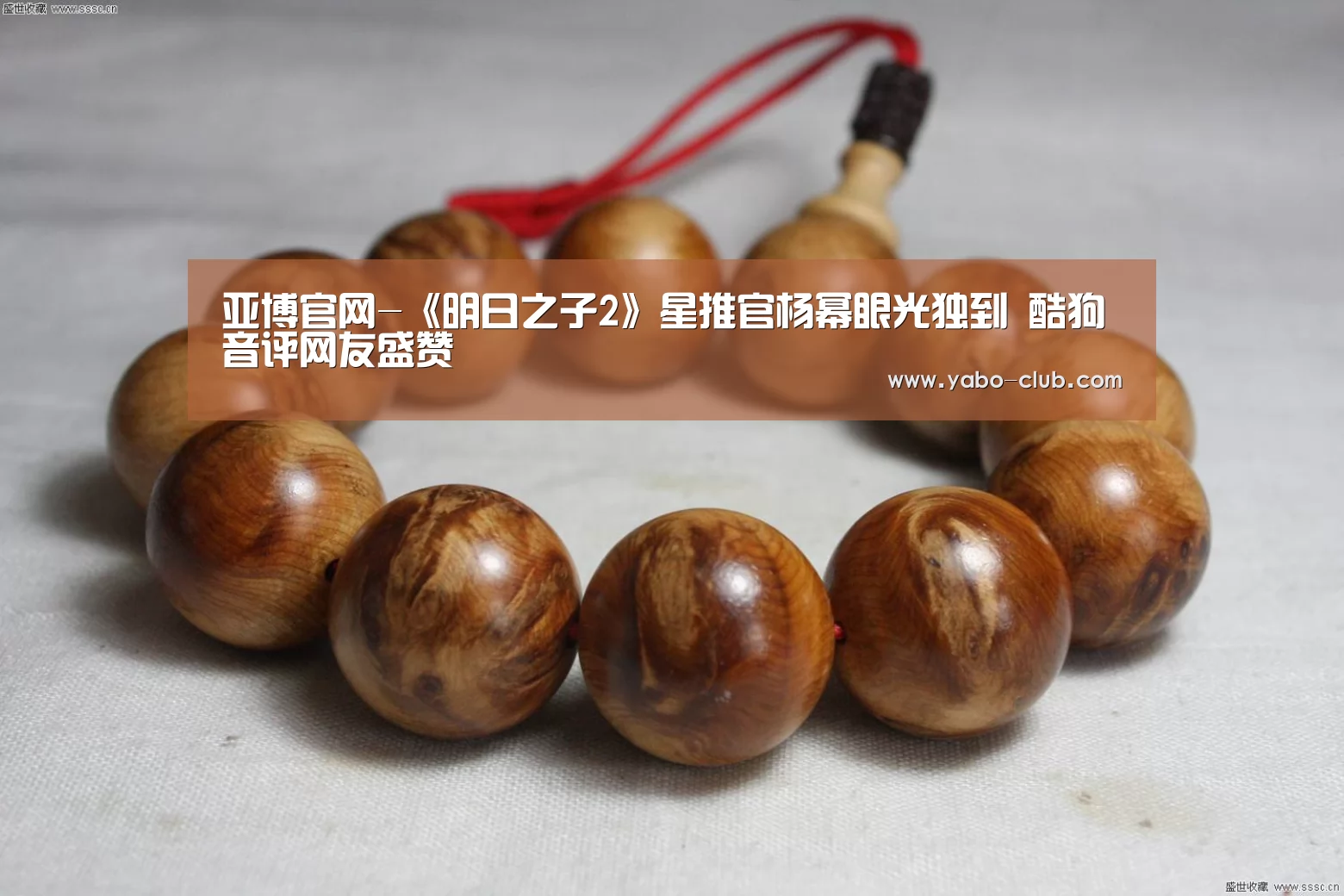 亚博官网-《明日之子2》星推官杨幂眼光独到 酷狗音评网友盛赞(图3) 亚博官网