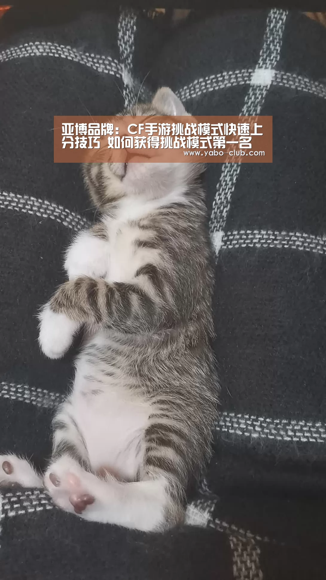 亚博品牌:CF手游挑战模式快速上分技巧 如何获得挑战模式第一名(图2) 亚博品牌