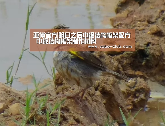 亚博官方|明日之后中级结构框架配方 中级结构框架制作材料(图3) 亚博官网