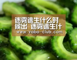 迷雾逃生什么时候出 迷雾逃生什么时候上线【亚博赛事】(图1) 亚博官网